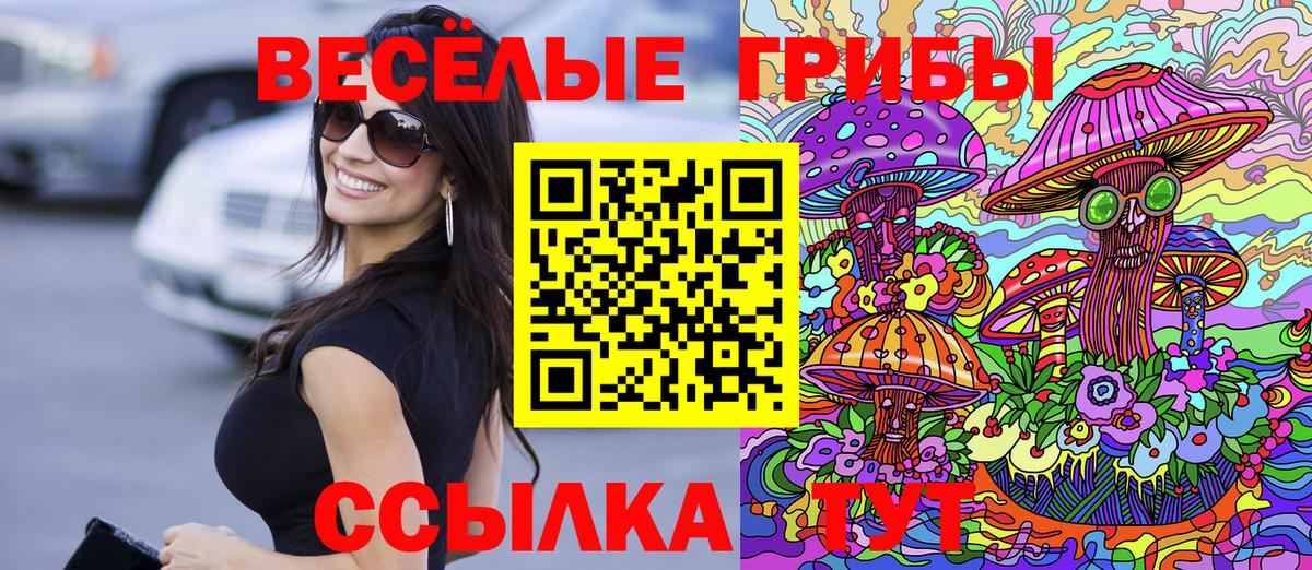 Галлюциногенные грибы ЛСД Саранск
