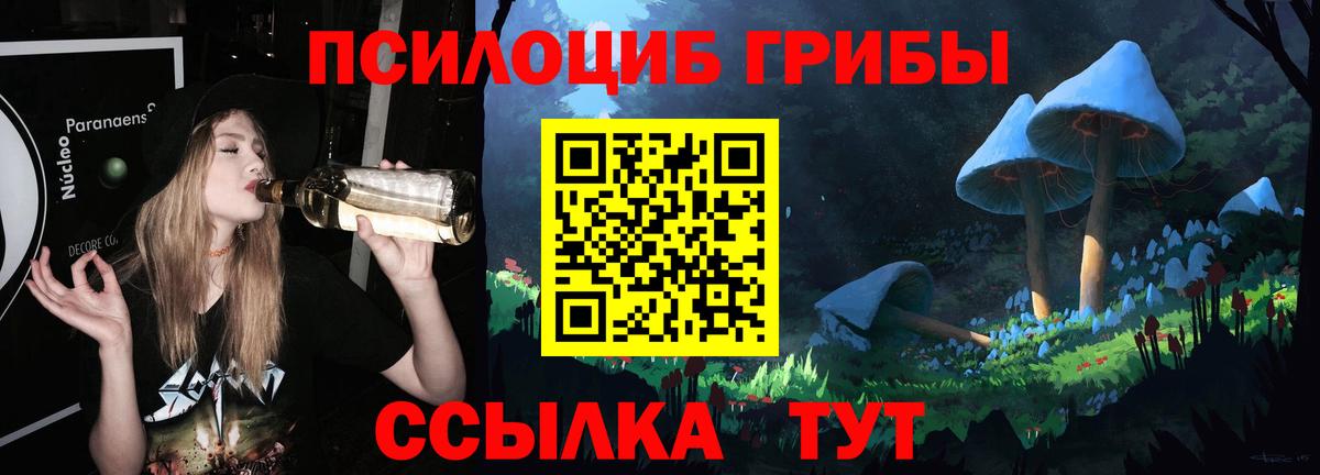 Саранск  Галлюциногенные грибы прущие грибы  Вход с VPN 